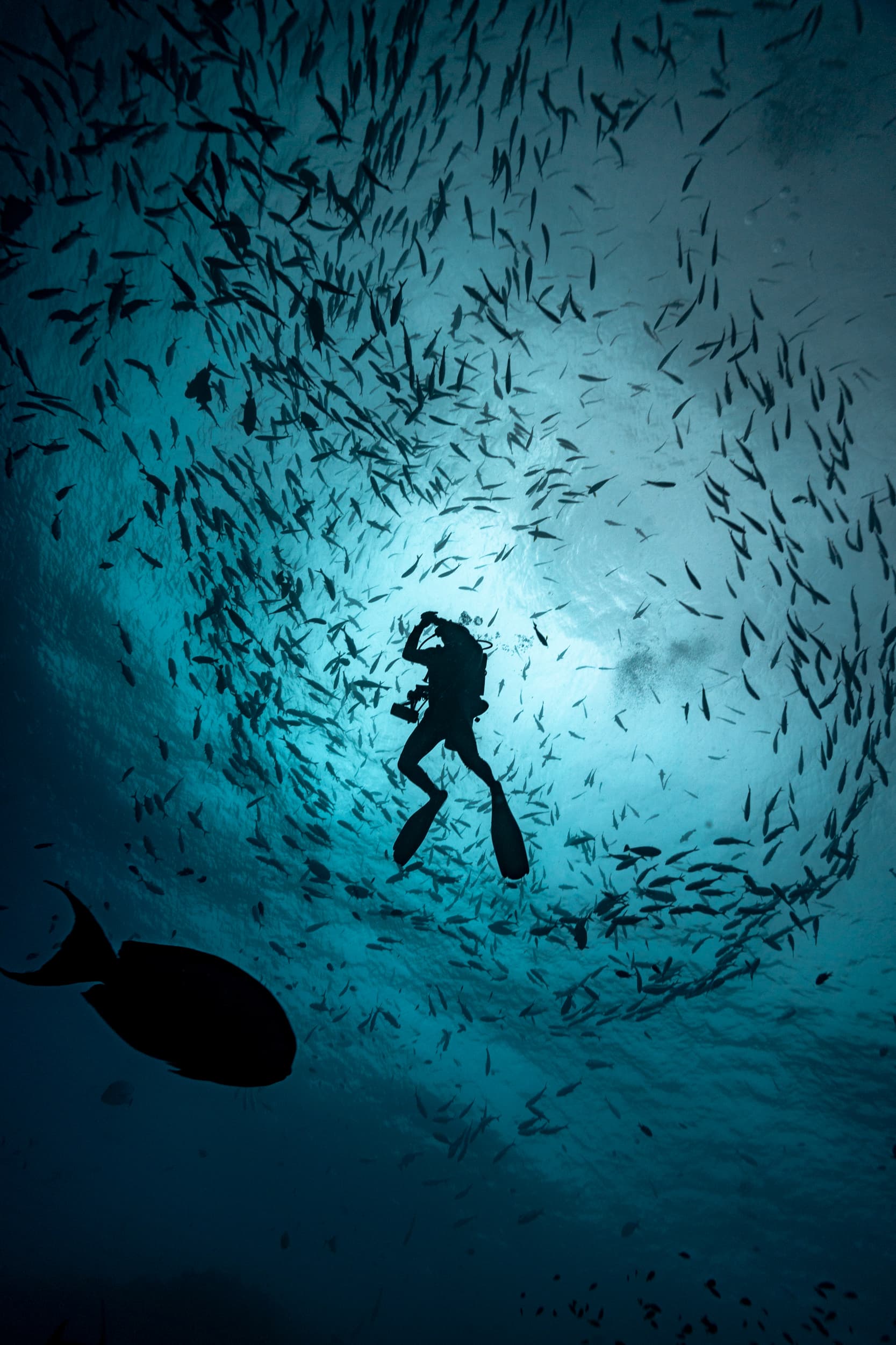 Opening our first dive center