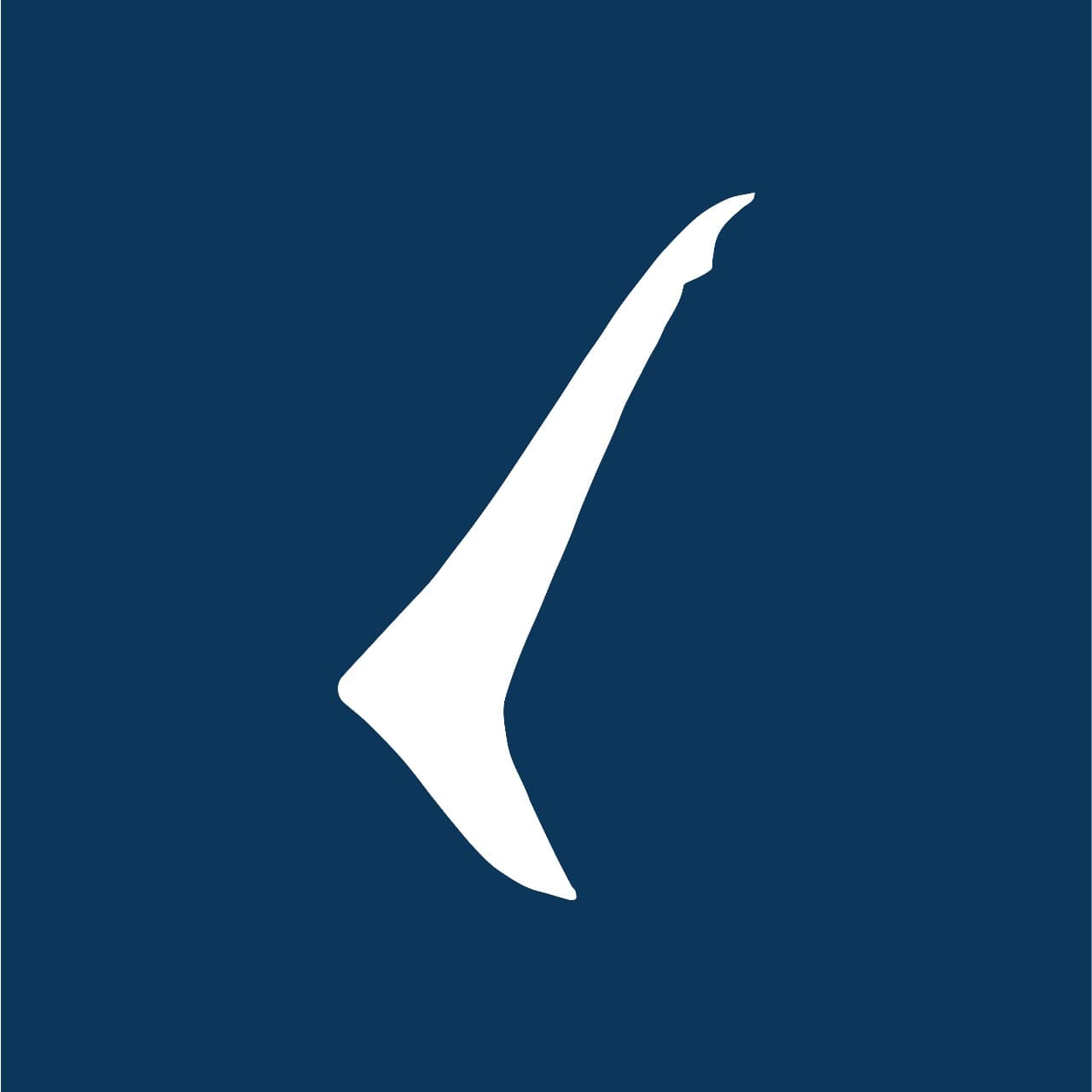 Scubachannel Logo