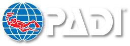 Partner Logo 2